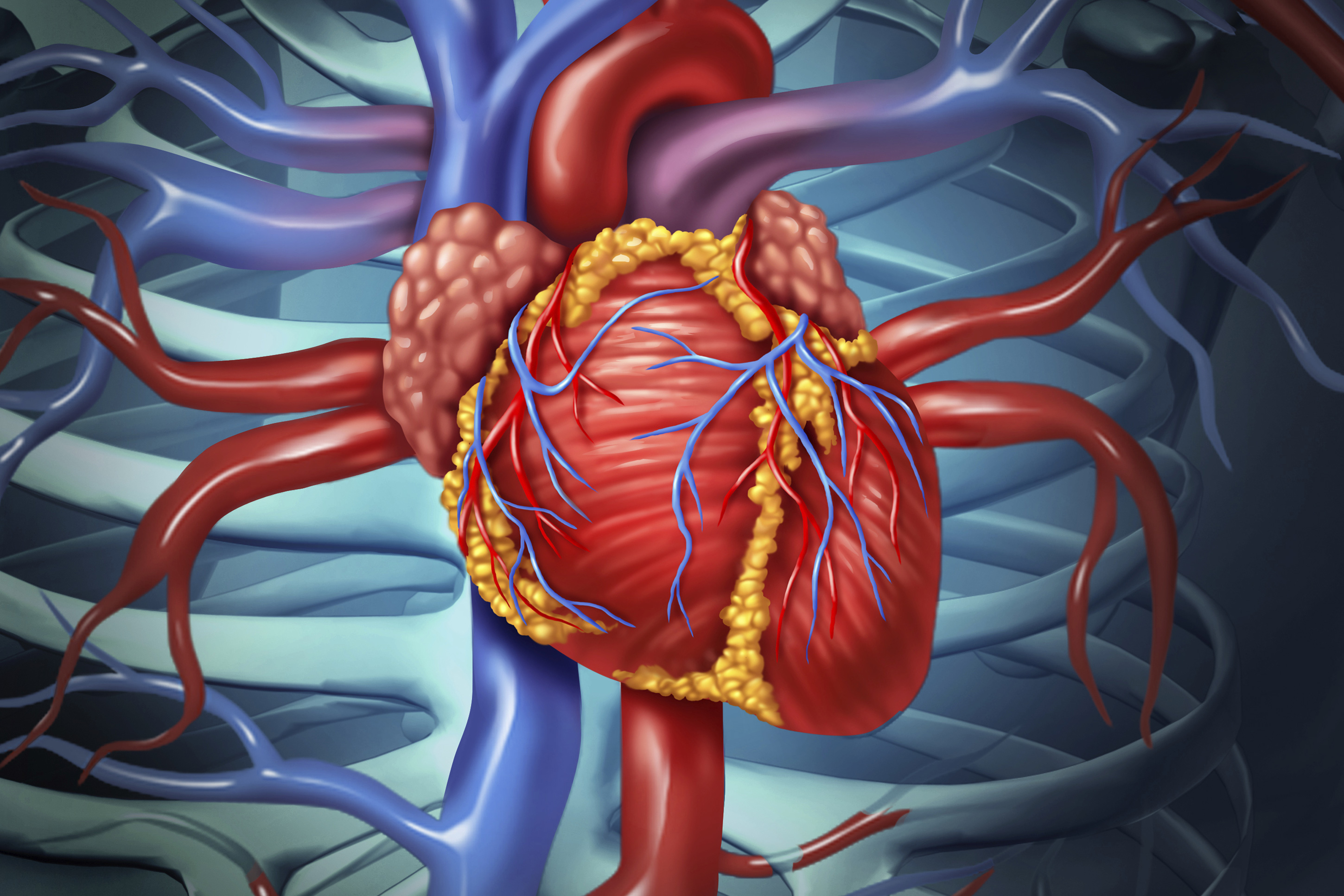 Risk Of Cardiovascular Disease Score