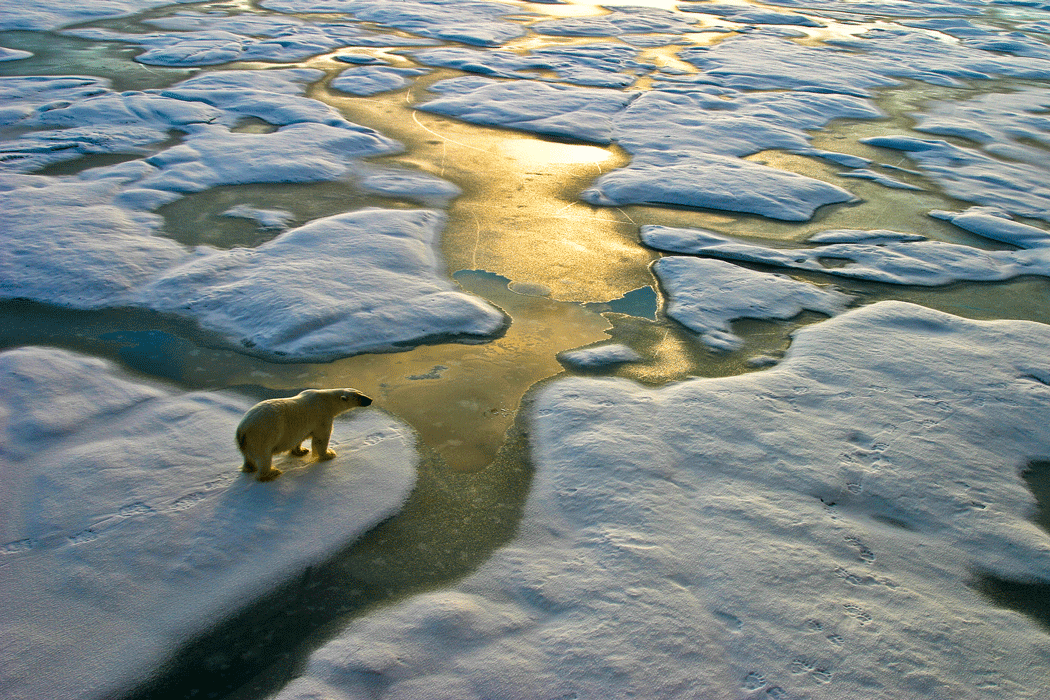 Climate change and health: A physician call for action - Vimarsana News