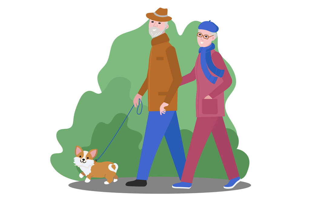 Retired couple walking their dog in the park